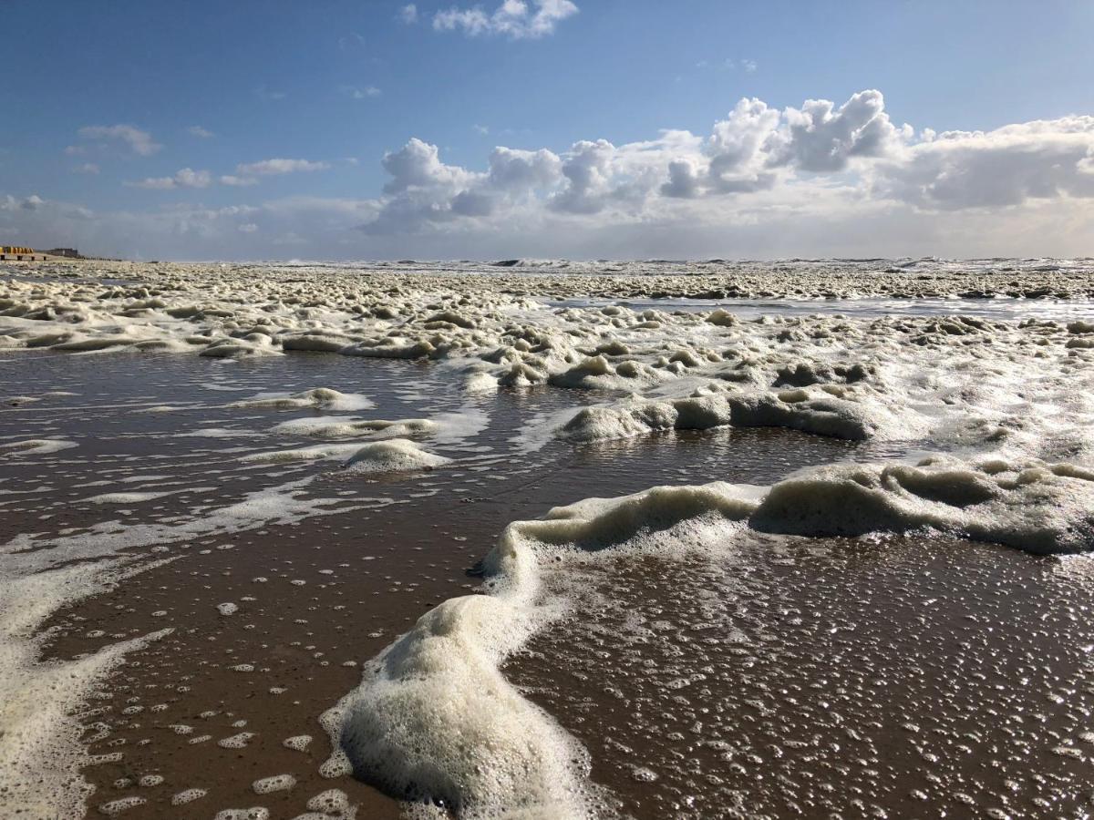 Eco Lodge Duin- Unieke Locatie -Strand, Duin En Nabij Cultuursteden Castricum Esterno foto