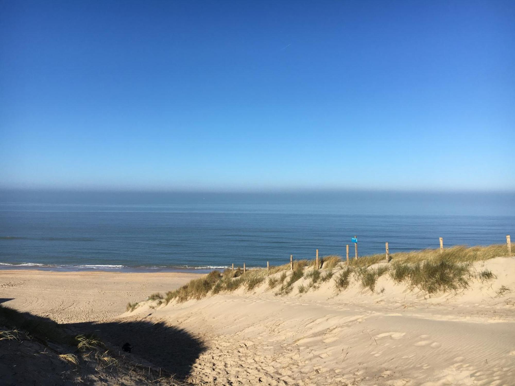 Eco Lodge Duin- Unieke Locatie -Strand, Duin En Nabij Cultuursteden Castricum Esterno foto