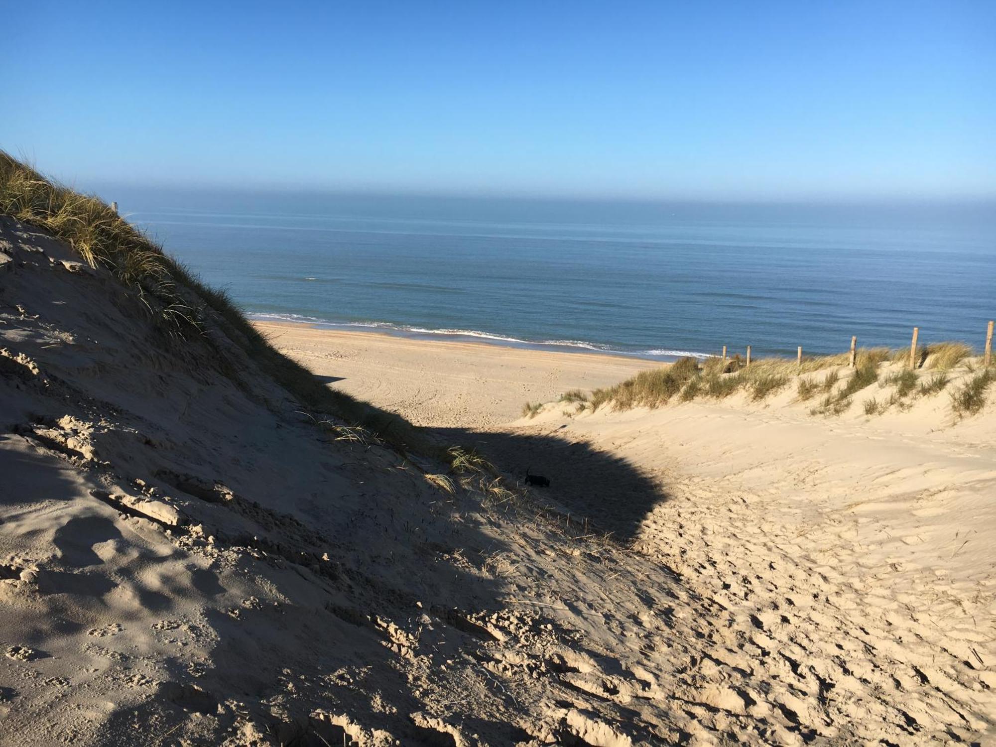 Eco Lodge Duin- Unieke Locatie -Strand, Duin En Nabij Cultuursteden Castricum Esterno foto