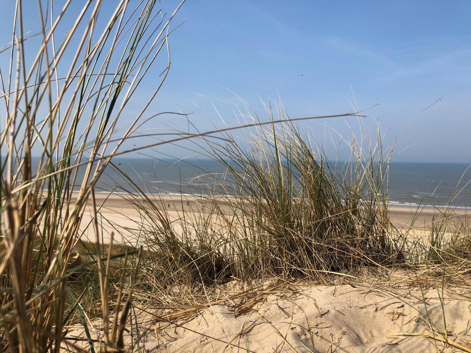 Eco Lodge Duin- Unieke Locatie -Strand, Duin En Nabij Cultuursteden Castricum Esterno foto